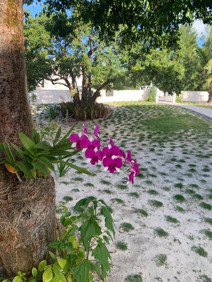 Gumbo Limbo Home 거버너스 하버 외부 사진